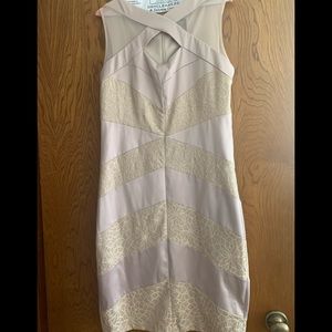 Jax mid length Champaign color dress with lace.